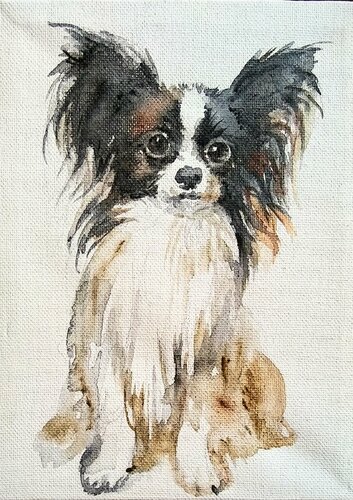 Papillon puppy black and white par Daniela Vasileva, Œuvre sur papier en vente sur Singulart