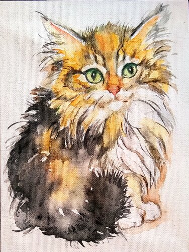 Calico Kitten di Daniela Vasileva, Opera su carta in vendita su Singulart