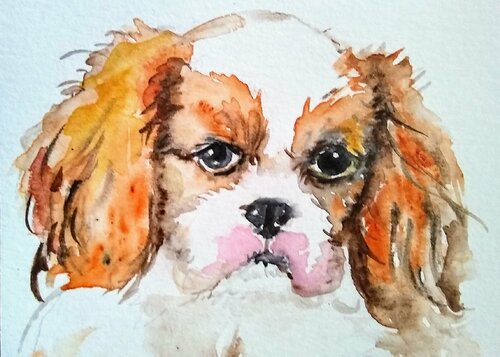 Cavalier King Charles spaniel  puppy by Daniela Vasileva, Work on Paper for Sale on Singulart