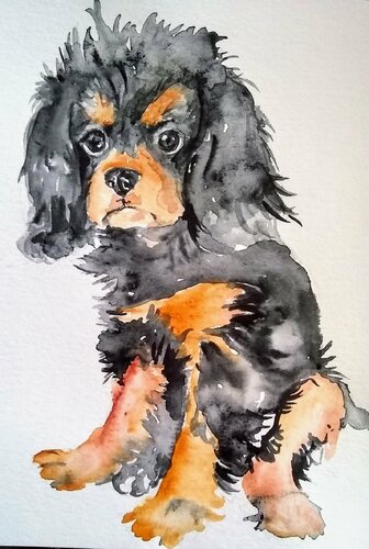 Cavalier King Charles spaniel puppy di Daniela Vasileva, Opera su carta in vendita su Singulart