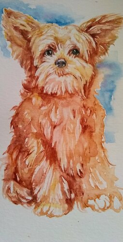 terrier puppy di Daniela Vasileva, Opera su carta in vendita su Singulart