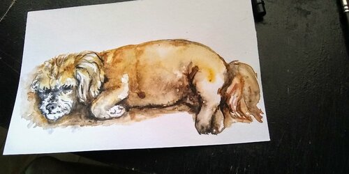Shih Tzu puppy dog sleeping di Daniela Vasileva, Opera su carta in vendita su Singulart