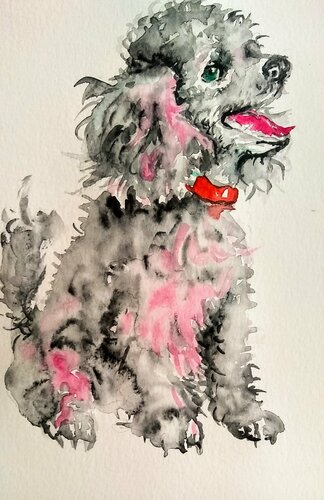 Gray pink poodle puppy dog Waiting for a treat di Daniela Vasileva, Opera su carta in vendita su Singulart