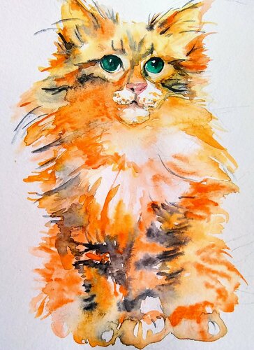 Calico Maine Coon Kitten di Daniela Vasileva, Opera su carta in vendita su Singulart