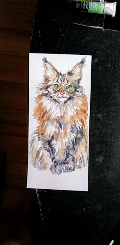 Calico kitty di Daniela Vasileva, Opera su carta in vendita su Singulart