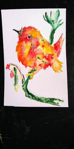 Colorful bird di Daniela Vasileva, Opera su carta in vendita su Singulart