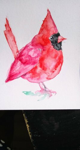 Colorful bird,red  Christmas Cardinal di Daniela Vasileva, Opera su carta in vendita su Singulart