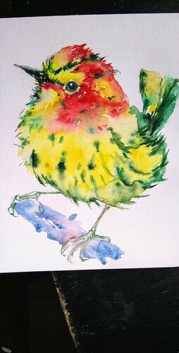 Colorful bird di Daniela Vasileva, Opera su carta in vendita su Singulart