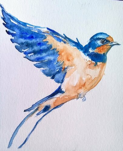Colorful bird, spring swallow di Daniela Vasileva, Opera su carta in vendita su Singulart