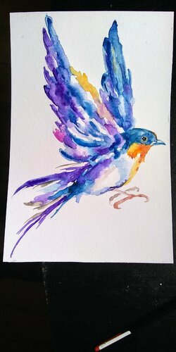 Colorful bird, flying spring swallow di Daniela Vasileva, Opera su carta in vendita su Singulart
