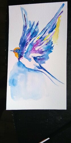 Colorful bird, flying spring swallow di Daniela Vasileva, Opera su carta in vendita su Singulart