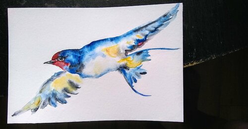 Colorful bird, flying spring swallow Daniela Vasileva