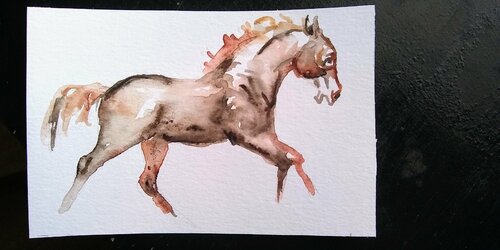 Horse running Daniela Vasileva