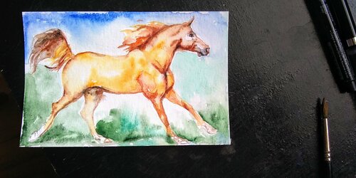 Horse running di Daniela Vasileva, Opera su carta in vendita su Singulart