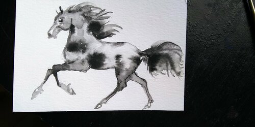 Black Horse running. Black and white di Daniela Vasileva, Opera su carta in vendita su Singulart