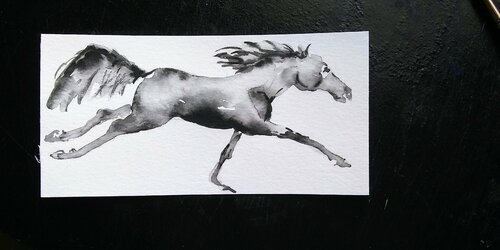 Black Horse running. Black and white Daniela Vasileva