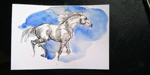 Stallion running. Black and white di Daniela Vasileva, Opera su carta in vendita su Singulart