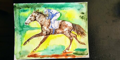 jockey, Horse running Daniela Vasileva