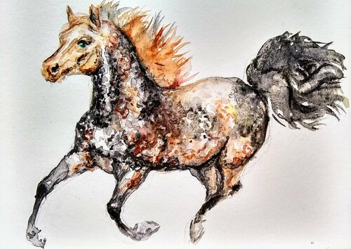 dappled stallion running Daniela Vasileva