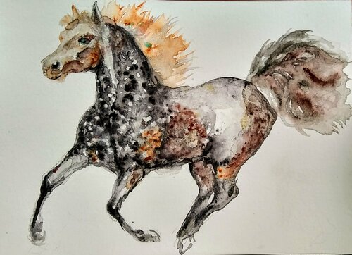 Appaloosa stallion running Daniela Vasileva