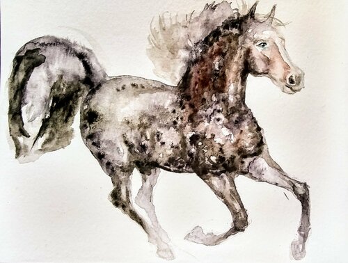 Dappled  gray stallion running Daniela Vasileva