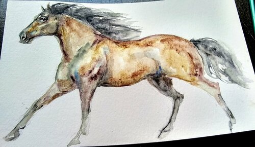 dappled stallion running di Daniela Vasileva, Opera su carta in vendita su Singulart