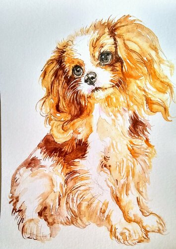 Cavalier King Charles spaniel puppy par Daniela Vasileva, Œuvre sur papier en vente sur Singulart
