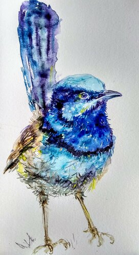 Blue bird von Daniela Vasileva, Werk auf Papier kaufen auf Singulart