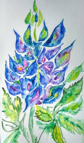 Texas blue bonnet flower di Daniela Vasileva, Opera su carta in vendita su Singulart