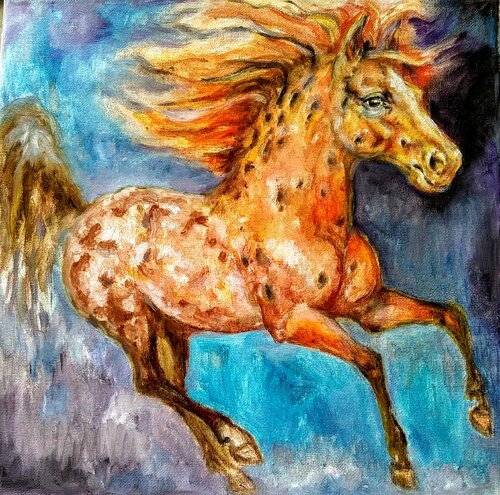 Appaloosa stallion running Daniela Vasileva