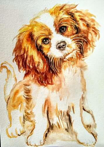 Cavalier King Charles spaniel puppy by Daniela Vasileva, Work on Paper for Sale on Singulart