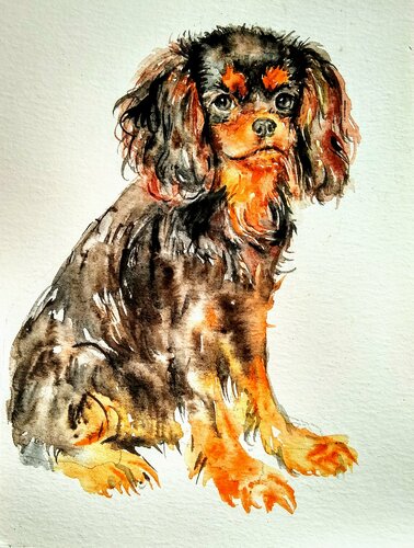 Cavalier King Charles spaniel puppy by Daniela Vasileva, Work on Paper for Sale on Singulart