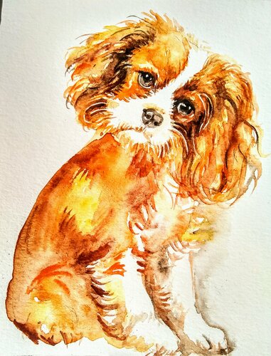 Cavalier King Charles spaniel puppy di Daniela Vasileva, Opera su carta in vendita su Singulart