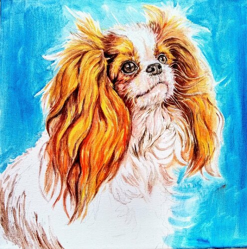 Cavalier King Charles spaniel puppy Daniela Vasileva