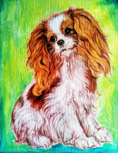 Cavalier King Charles spaniel puppy di Daniela Vasileva, Opera su carta in vendita su Singulart