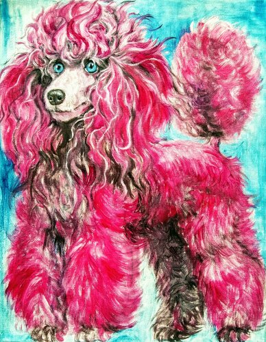 Pink gray poodle puppy di Daniela Vasileva, Opera su carta in vendita su Singulart