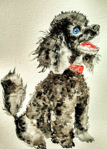 Black poodle puppy dog Waiting for a treat van Daniela Vasileva, Werk op papier te koop op Singulart