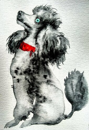 Black poodle puppy dog Waiting for a treat van Daniela Vasileva, Werk op papier te koop op Singulart