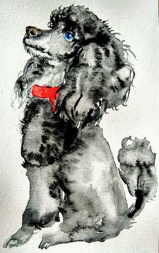 Black poodle puppy dog Waiting for a treat di Daniela Vasileva, Opera su carta in vendita su Singulart