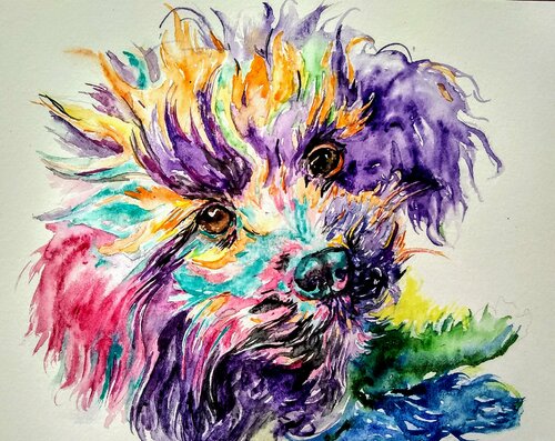 Colorful poodle puppy von Daniela Vasileva, Werk auf Papier kaufen auf Singulart