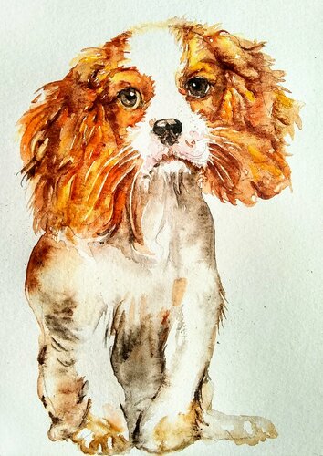 Cavalier King Charles spaniel puppy van Daniela Vasileva, Werk op papier te koop op Singulart