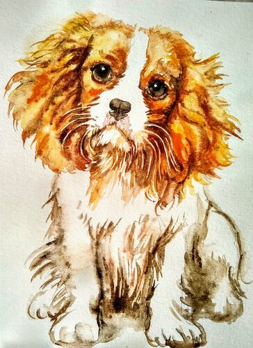 Cavalier King Charles spaniel puppy van Daniela Vasileva, Werk op papier te koop op Singulart