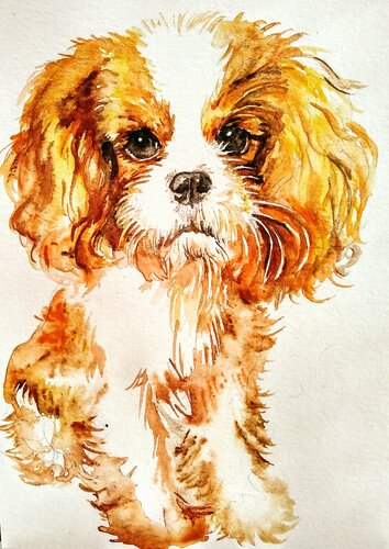 Cavalier King Charles spaniel puppy by Daniela Vasileva, Work on Paper for Sale on Singulart