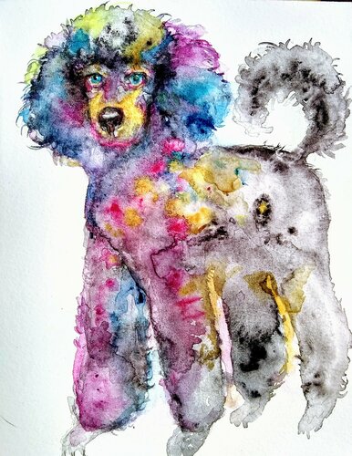 Gray pink poodle puppy dog Waiting for a treat di Daniela Vasileva, Opera su carta in vendita su Singulart