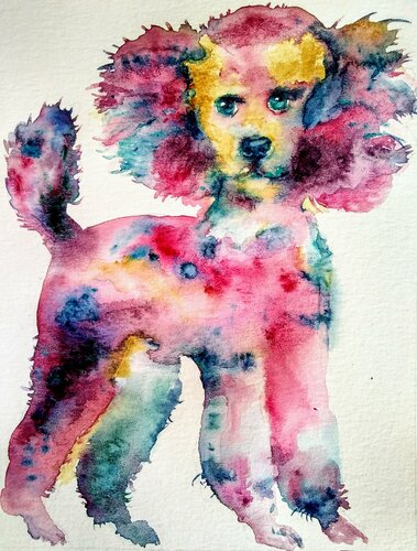 Gray pink poodle puppy dog Waiting for a treat di Daniela Vasileva, Opera su carta in vendita su Singulart
