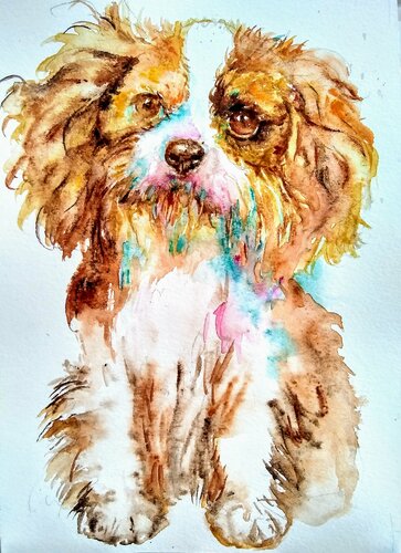 Cavalier King Charles spaniel puppy di Daniela Vasileva, Opera su carta in vendita su Singulart