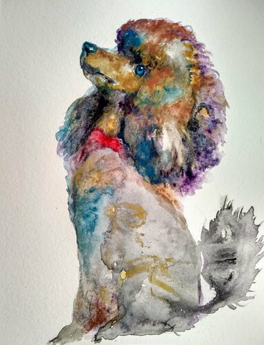 Gray pink poodle puppy dog Waiting for a treat by Daniela Vasileva, Work on Paper for Sale on Singulart