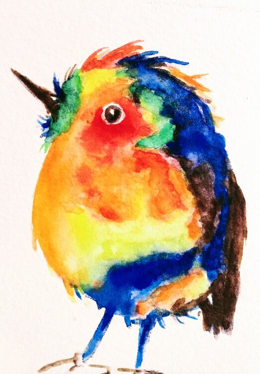 Colorful bird Daniela Vasileva