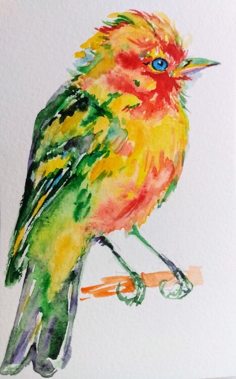Bird Daniela Vasileva