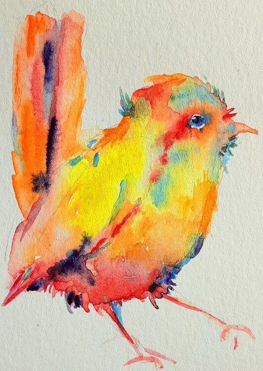 Colorful bird Daniela Vasileva
